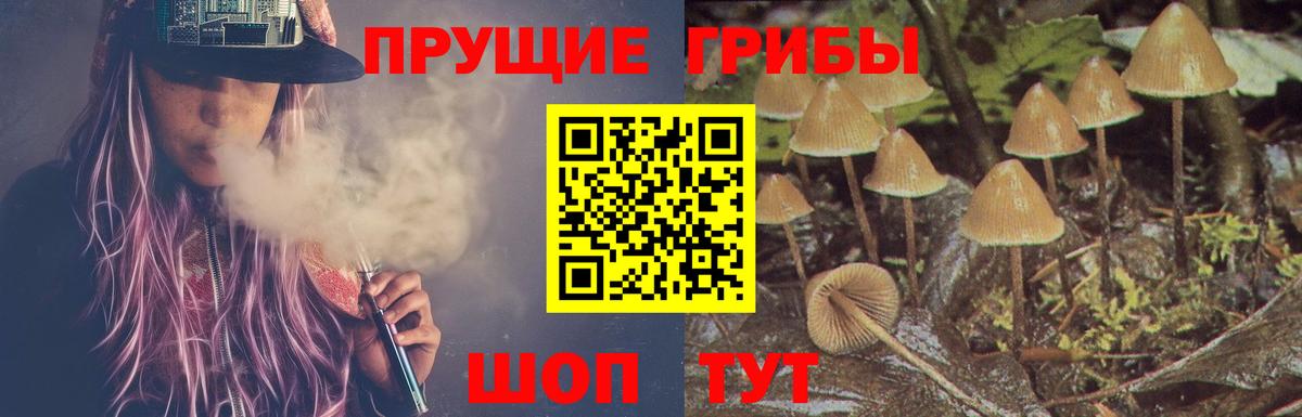 Галлюциногенные грибы GOLDEN TEACHER Лысьва